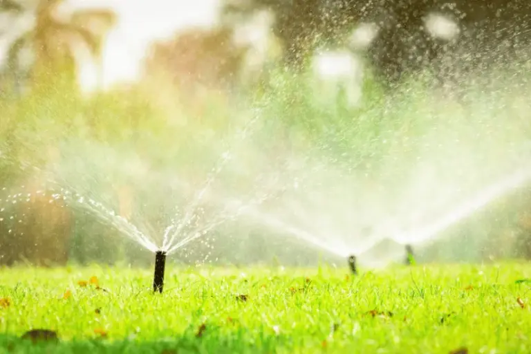 signs your sprinkler system is failing