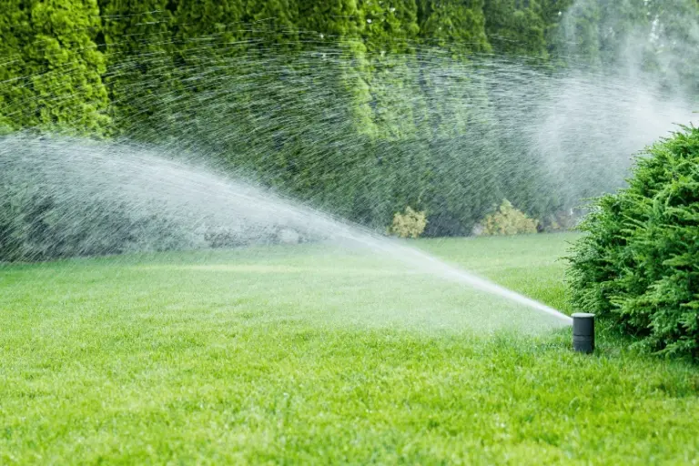 spring lawn and irrigation checklist for st louis