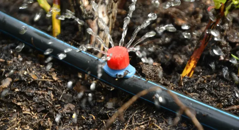 drip irrigation vs sprinkler systems st louis