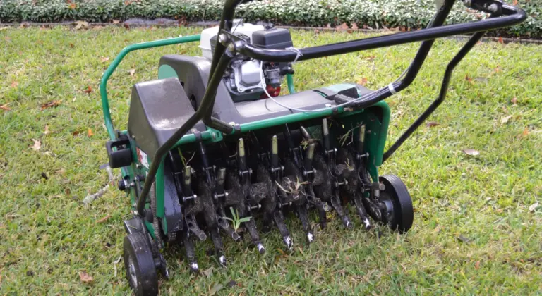 lawn aeration overseeding st louis