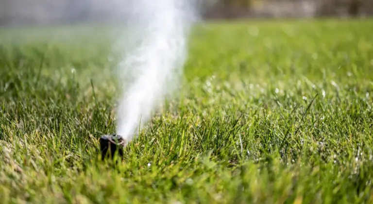 st louis irrigation calendar sprinkler system guide