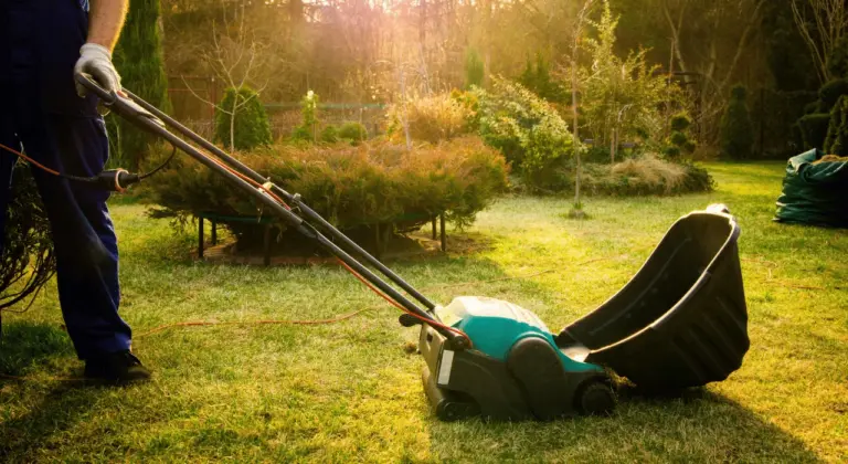 DIY vs professional lawn fertilization in st louis