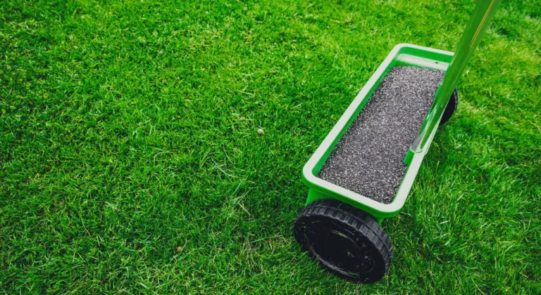 best time fertilize lawn st louis