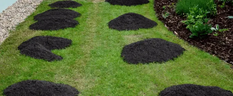 compost top dressing for st louis lawns