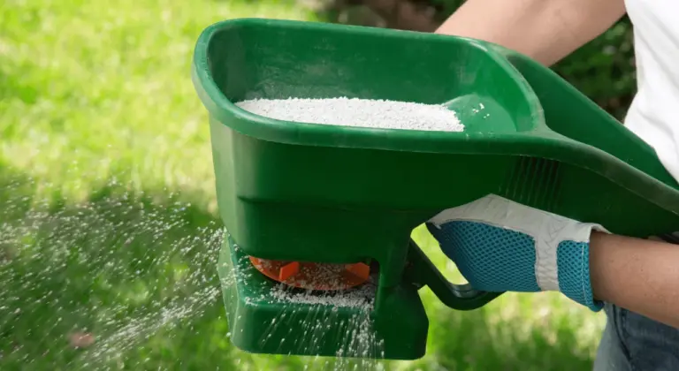 how fertilization and irrigation help your st louis lawn
