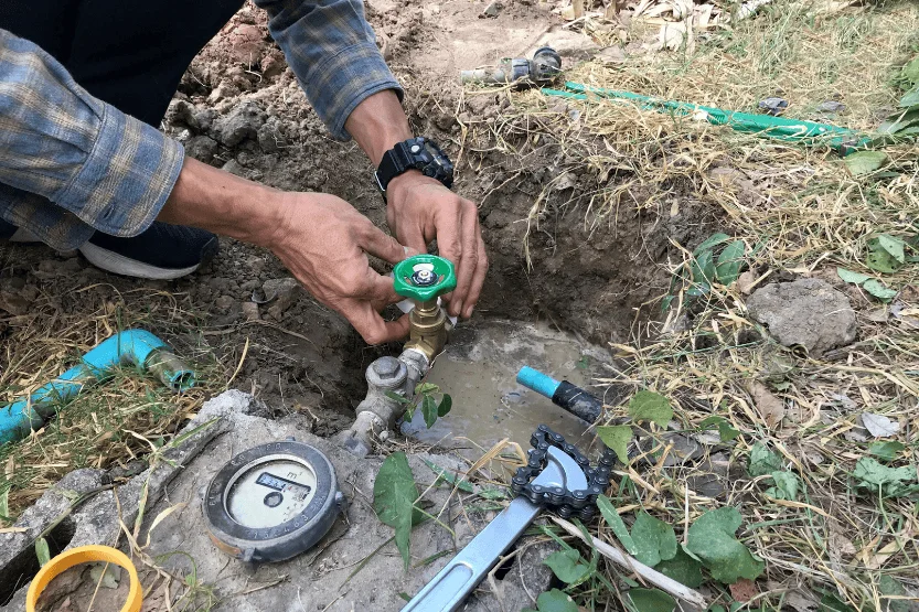 irrigation systems experts new jersey