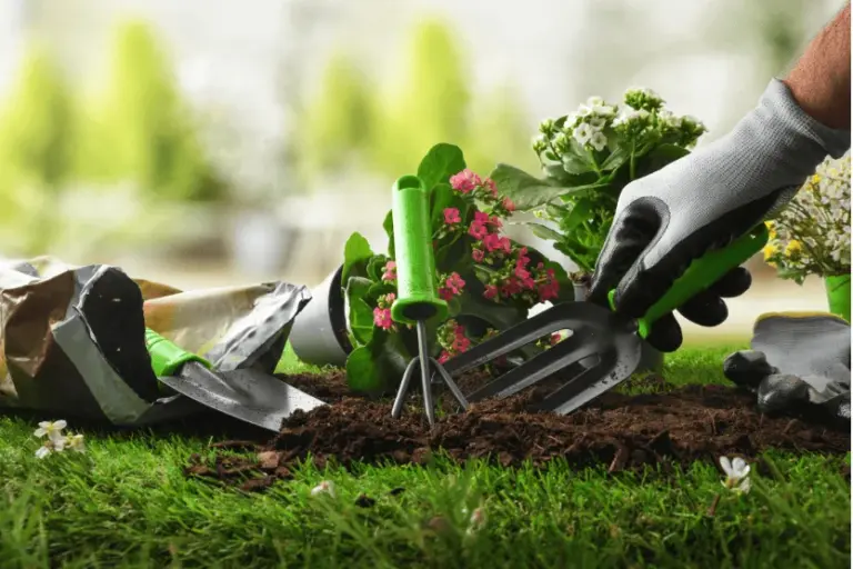 spring lawn prep guide