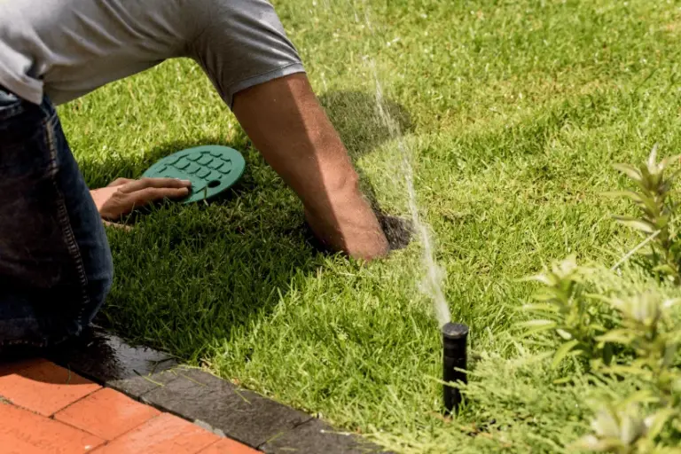 professional irrigation maintenance