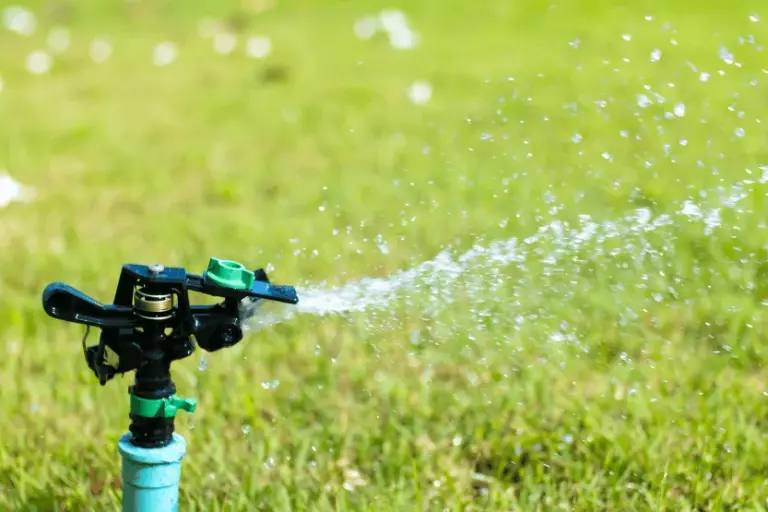 spring lawn care tasks protect irrigation system nj