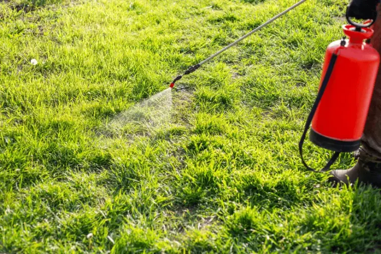 spring mosquito prevention