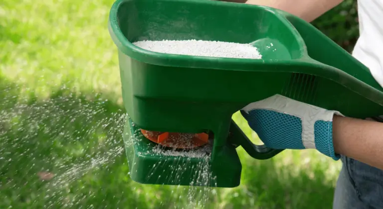 fall lawn fertilization in new jersey