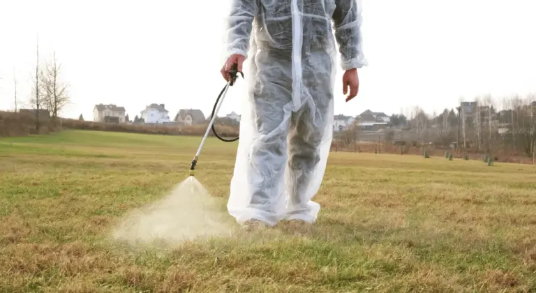fertilization and tick control in nj backyards