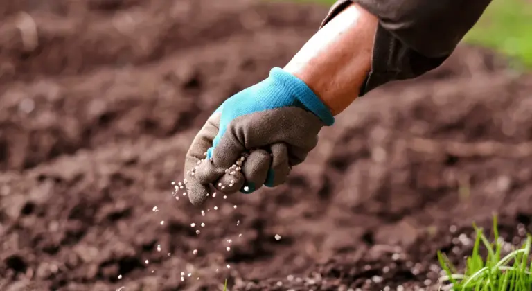 grub control fertilization new jersey lawns