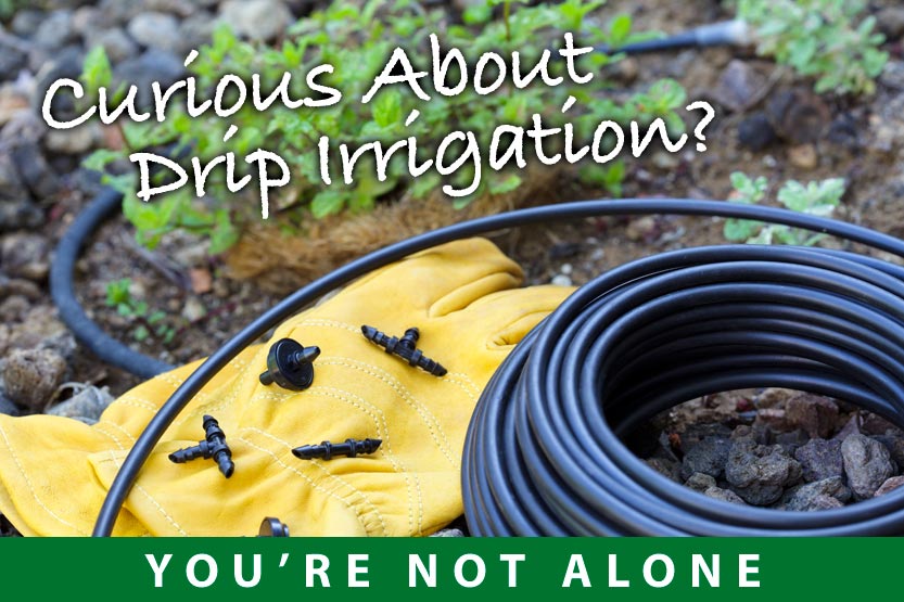 FAQs About Drip Irrigation