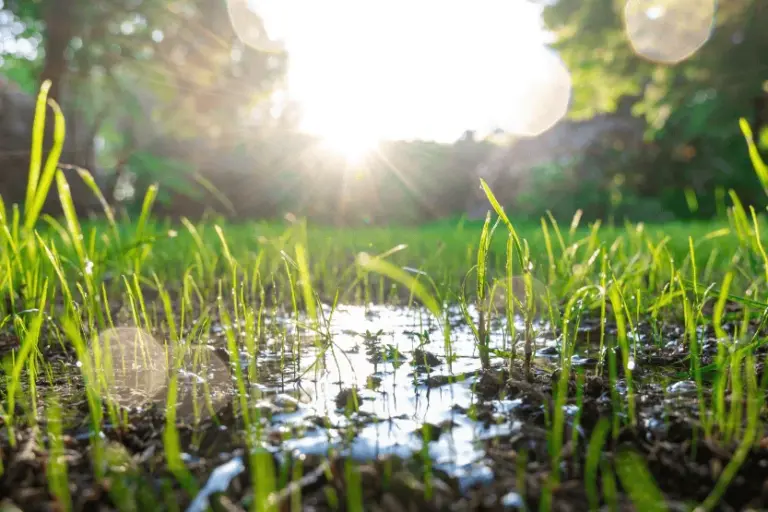soggy lawn snow melt drainage omaha