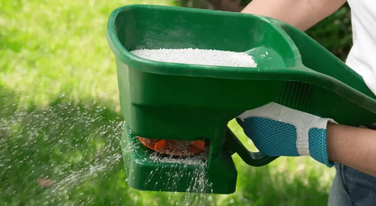 fall lawn fertilization omaha